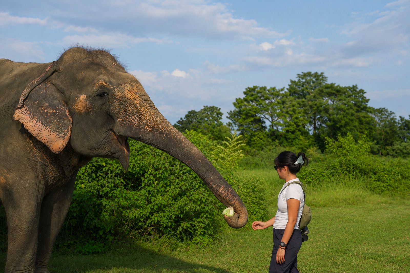 Elephant Feeding at Sapana Village Lodge