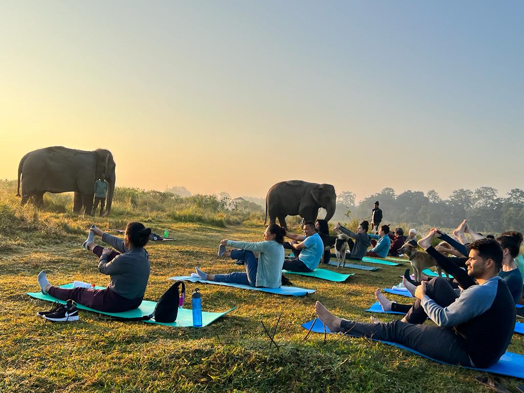 Meditation with Elephants